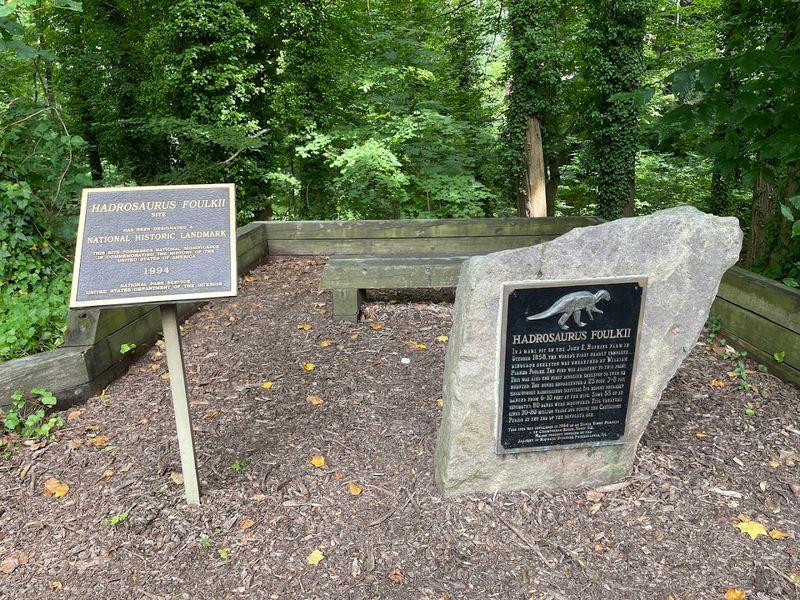 The Ravine, the Creek, and the Geology Beneath Your Feet