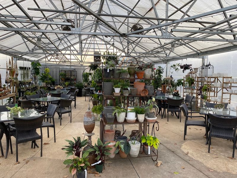 The Renovated Greenhouse and Its Unforgettable Atmosphere