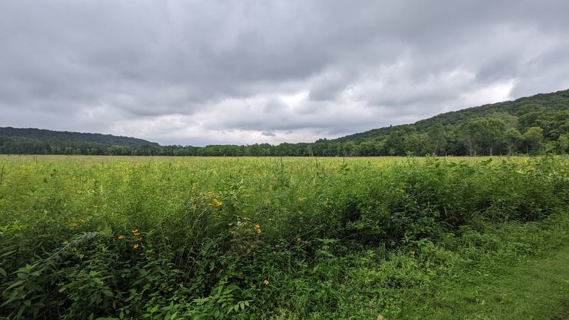 The Restored Prairie The Restored Prairie