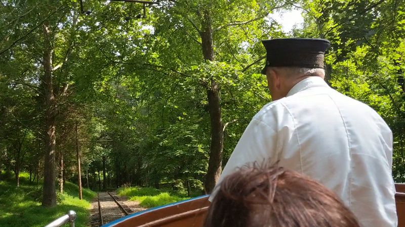 The Ride Through The Trees Is The Whole Hook The Ride Through The Trees Is The Whole Hook