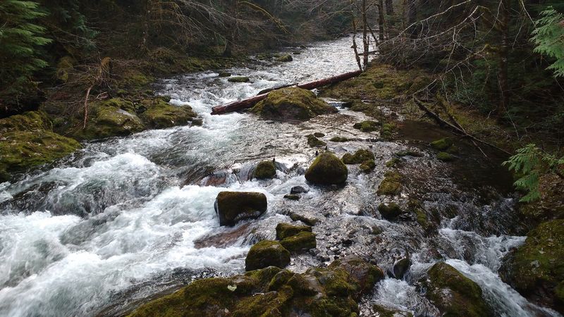 The River That Walks With You