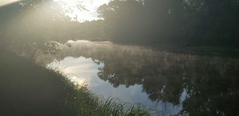 The Riverside Trail: A Walk That Feels Like a Reward