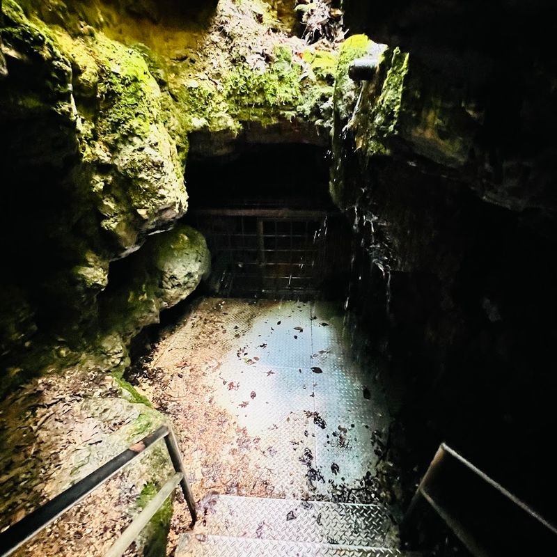 The Road to Devil's Well Prepares You for Something Unusual