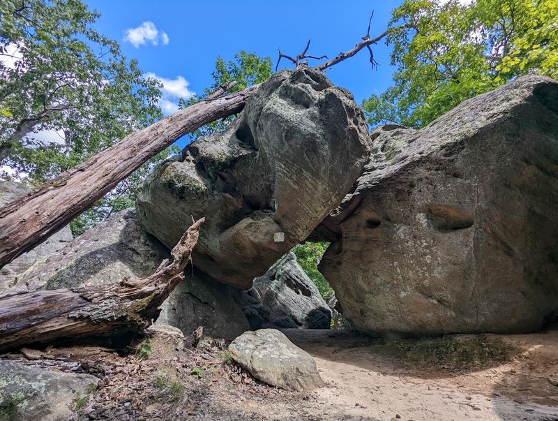 The Rock Formations Will Stop You in Your Tracks