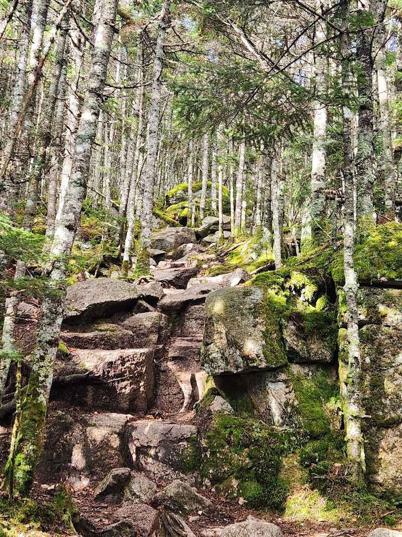 The Rocky Upper Section Where the Excitement Builds The Rocky Upper Section Where the Excitement Builds