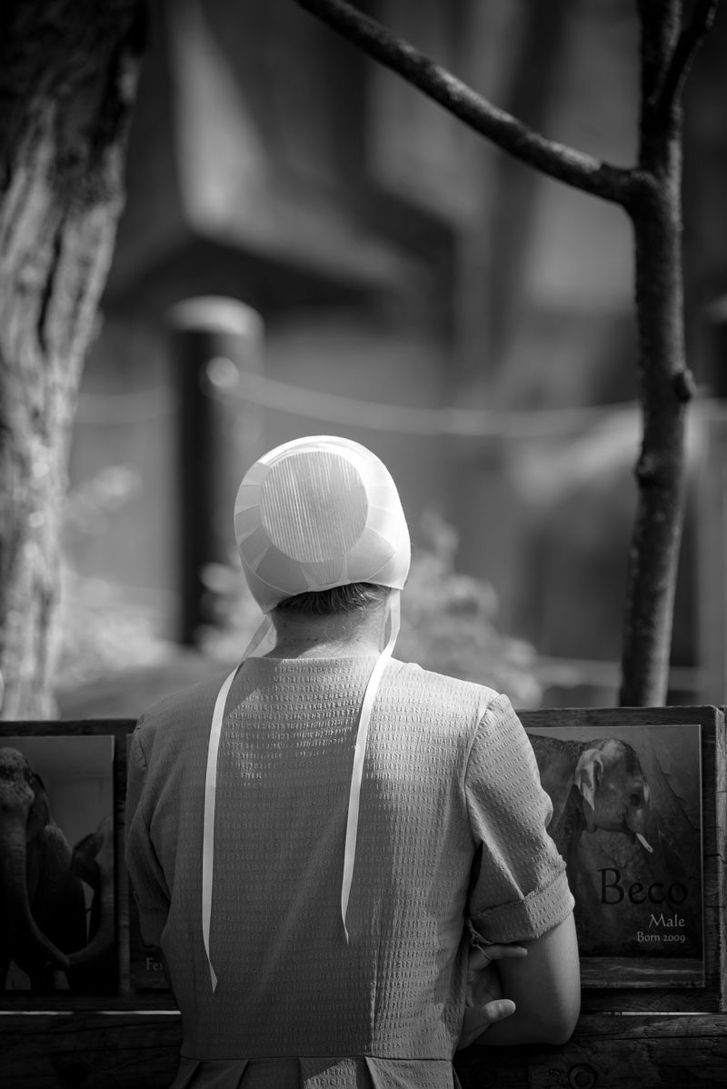 The Role Of Modesty Without Ornament