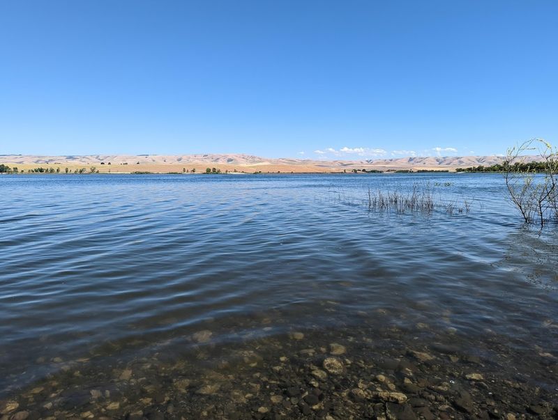 The Role of the Pacific Flyway in This Refuge The Role of the Pacific Flyway in This Refuge