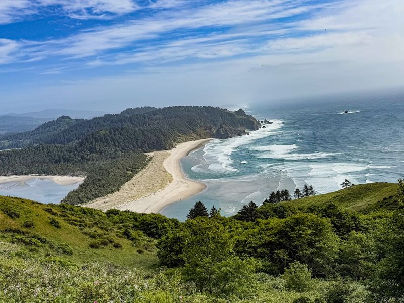 The Salmon River Estuary Views: A Reward Worth Every Step