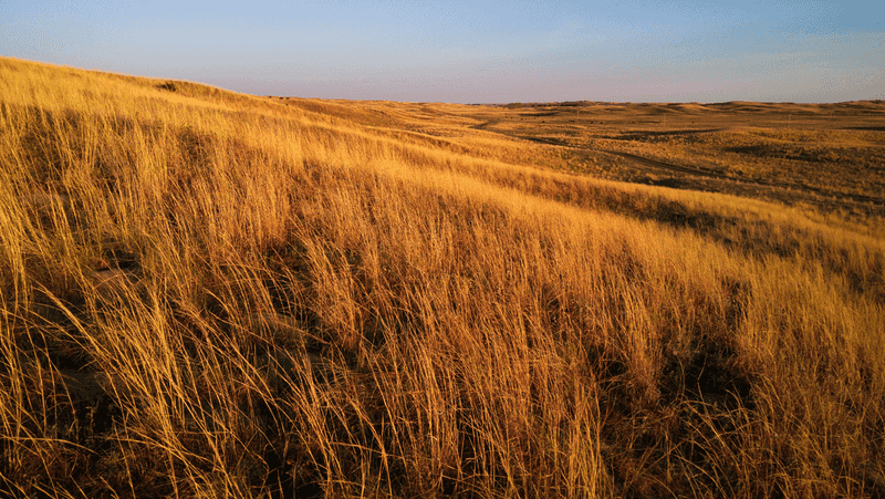 The Sandhills Remain Largely Untouched