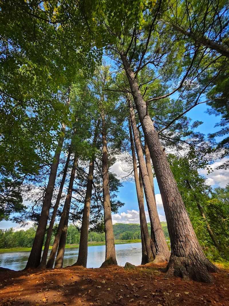 The Savannah Campground: Privacy in a Small Package