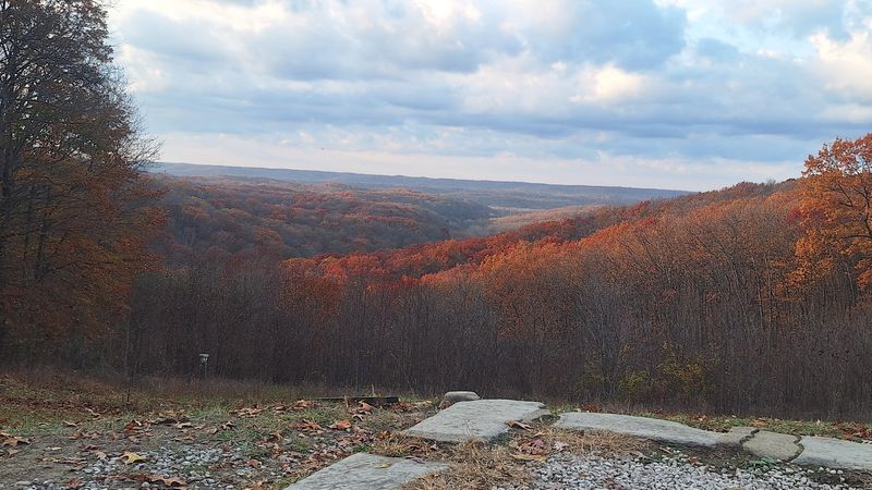 The Scenic 
