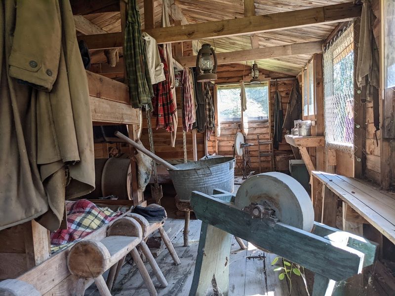 The Self-Guided Logging History Tour