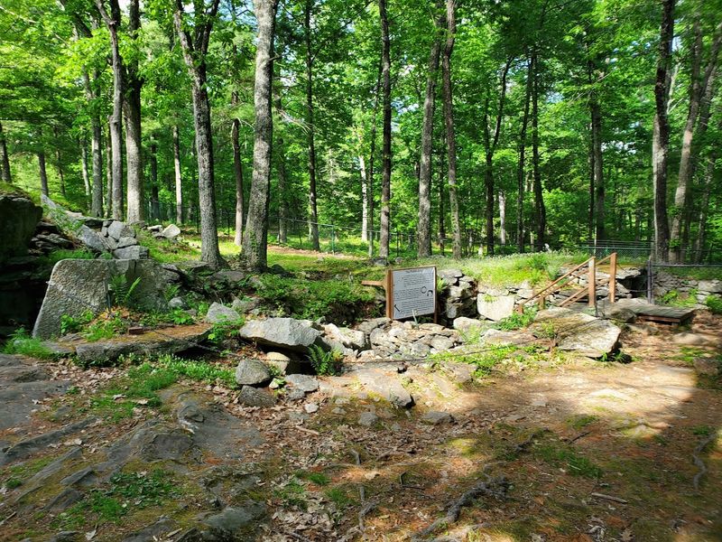 The Self-Guided Trail Experience Through 30 Acres