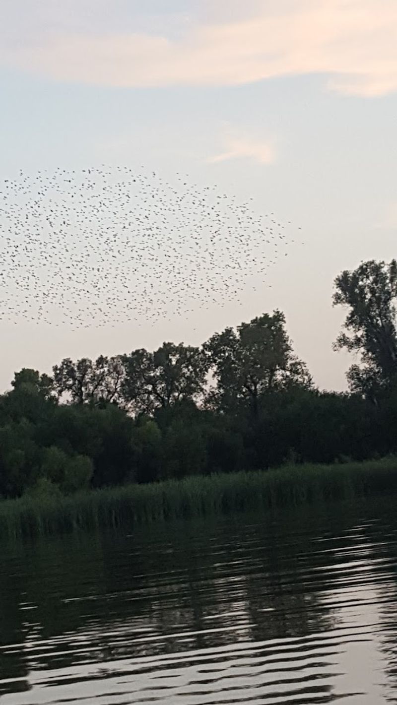 The Setting Is Pure Central Oklahoma Beauty