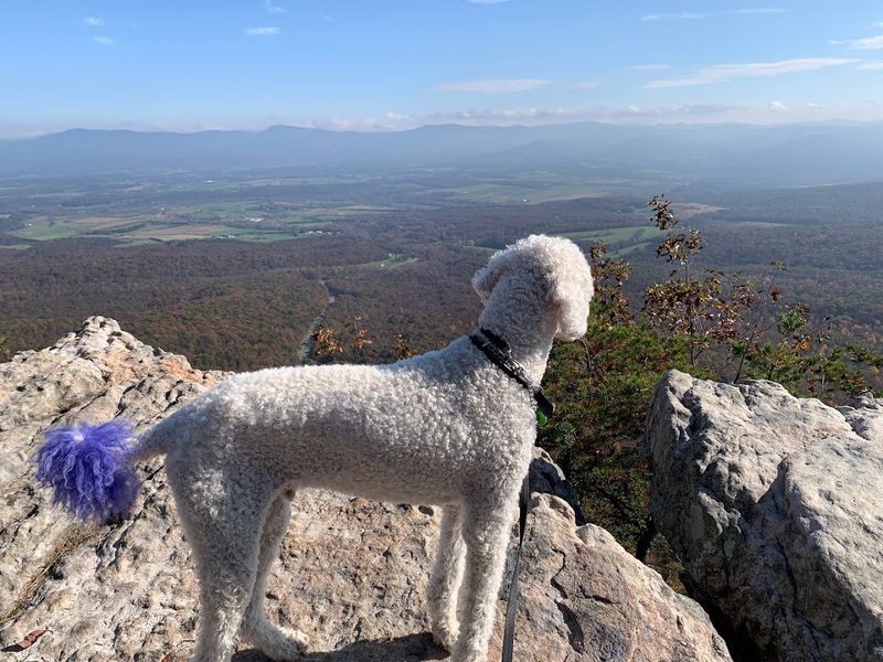 The Shenandoah Valley From a New Angle