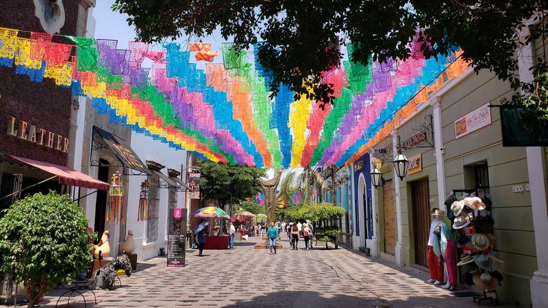 Free Admission and Why This Festival Is Built for Everyone