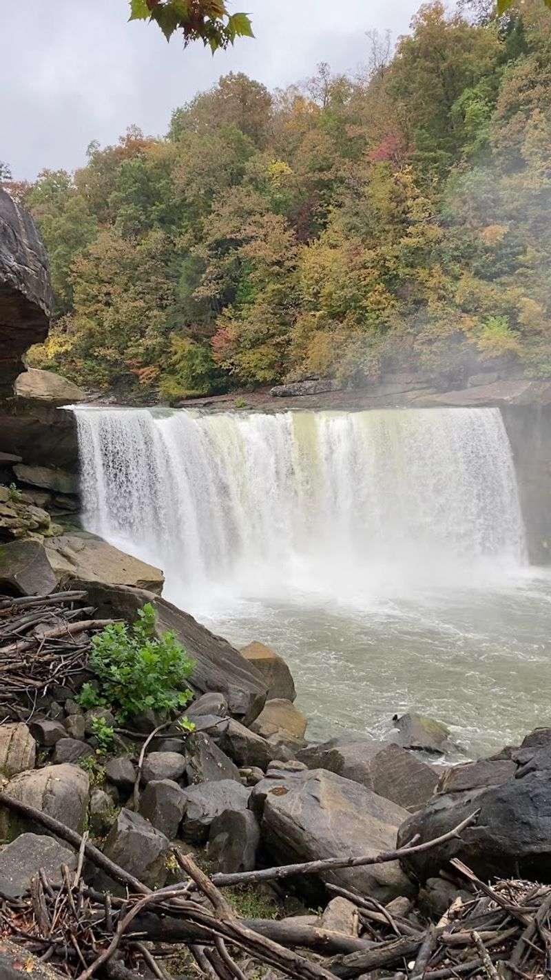 The Sound Of Water Everywhere