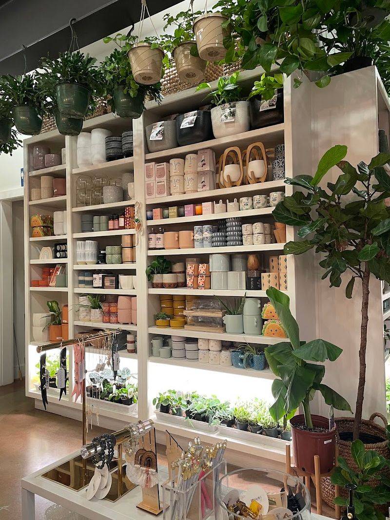 The Succulent Shop, Broken Arrow