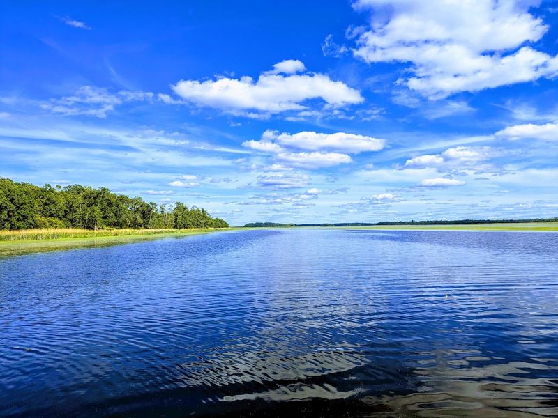 The Surrounding Itasca County Landscape