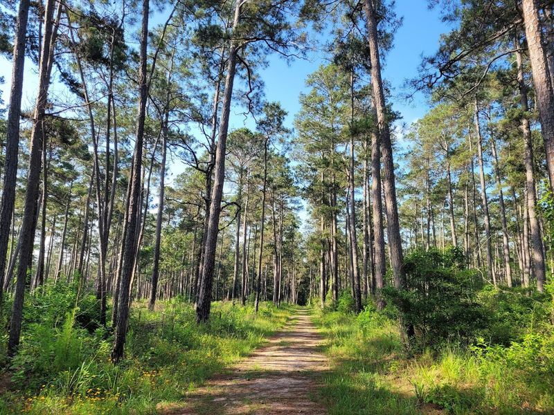 The Sweetleaf Nature Trail and North Boundary Trail Loop The Sweetleaf Nature Trail and North Boundary Trail Loop
