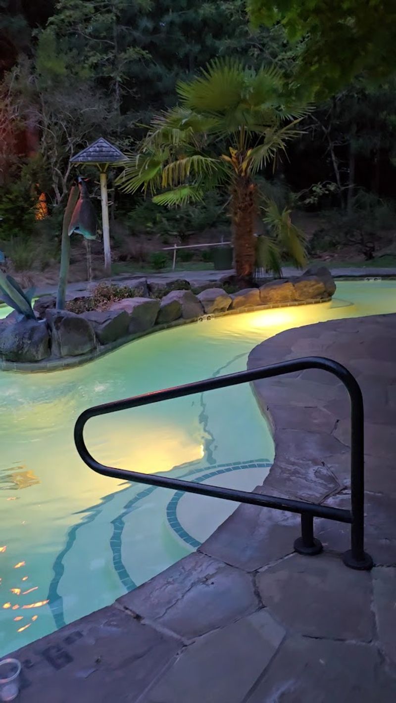 The Swim-Up Bar: Sipping and Soaking in Style