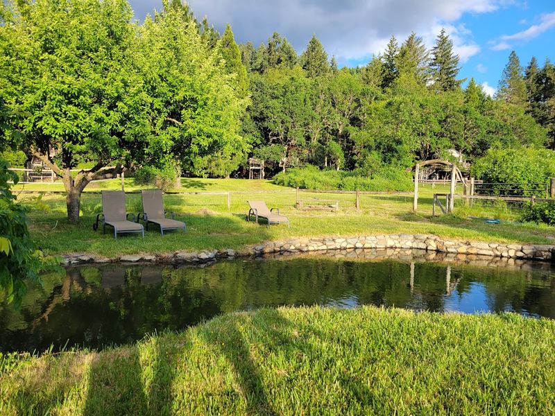 The Swimming Pool and Outdoor Gathering Spaces