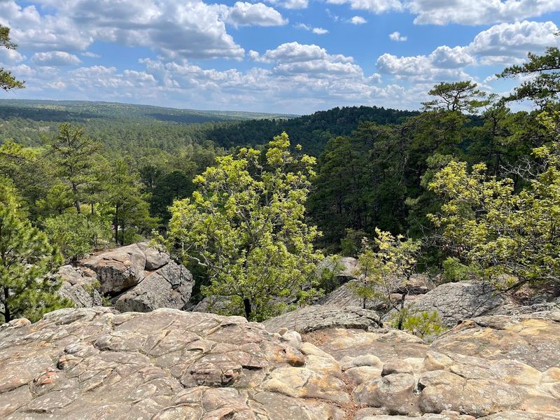 The Talimena Scenic Byway Starts Practically at the Park's Doorstep