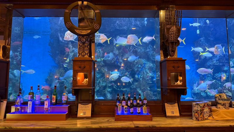 The Tank That Changes The Whole Mood