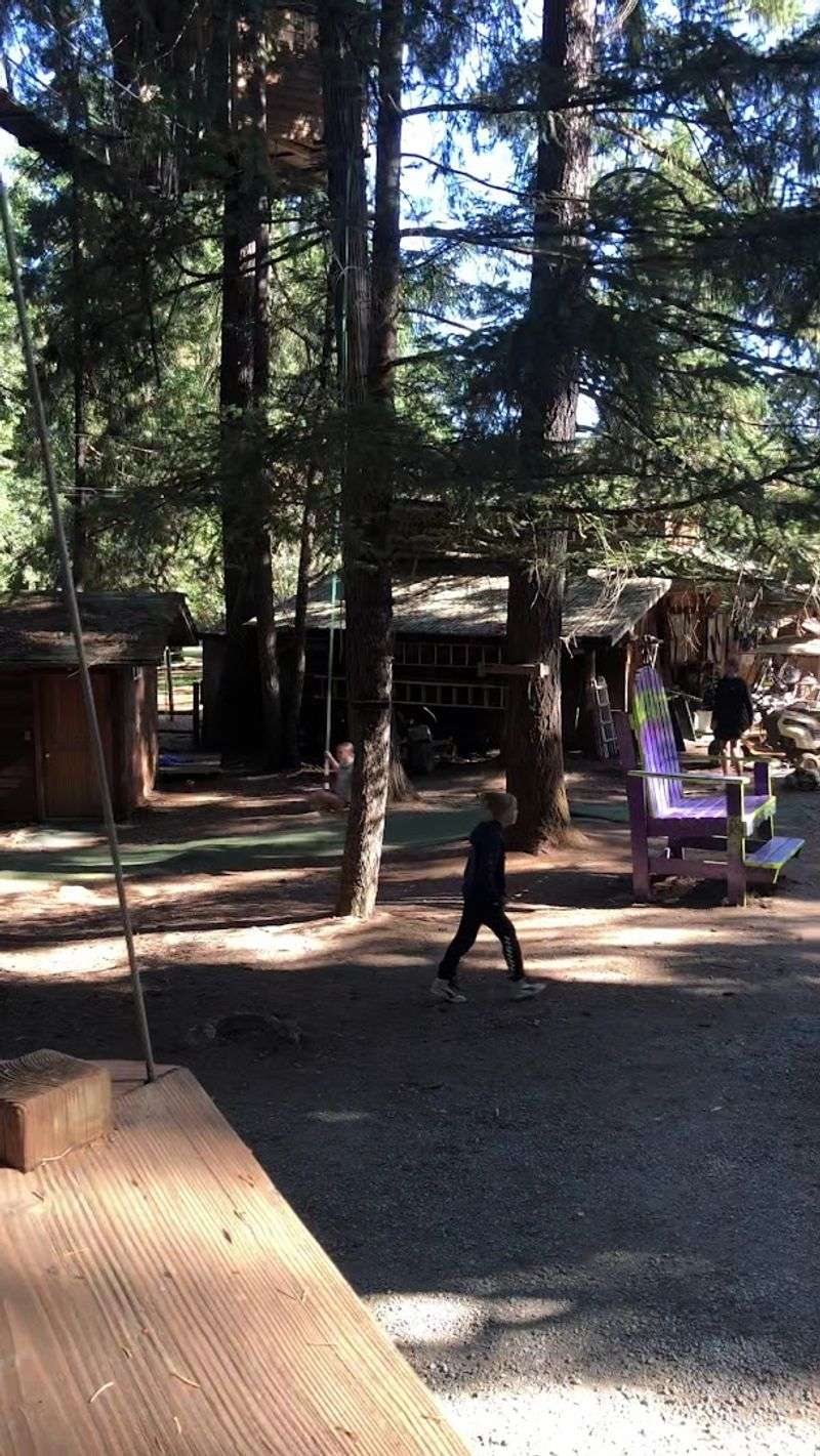 The Tarzan Swing and Tree-poline for All Ages
