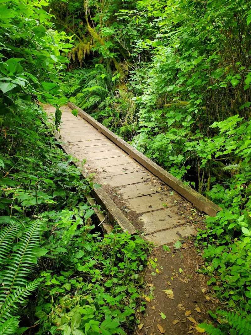 The Three Trail Segments: How the Hike Actually Flows