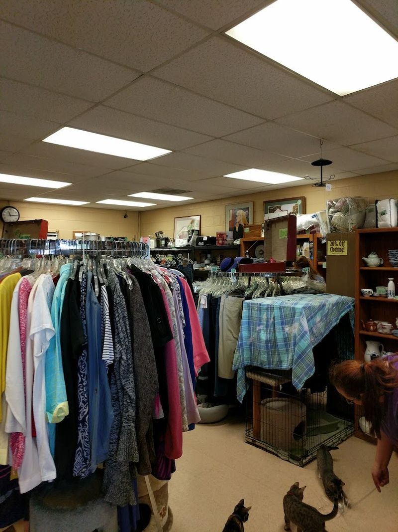 The Thrift Store Layout and What You Will Find Inside