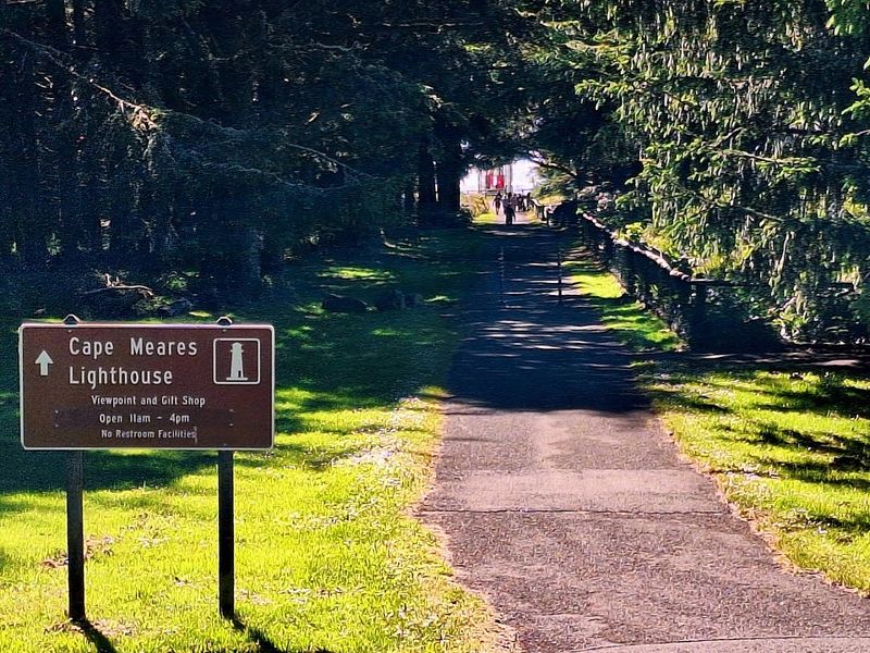 The Trail Down to the Lighthouse
