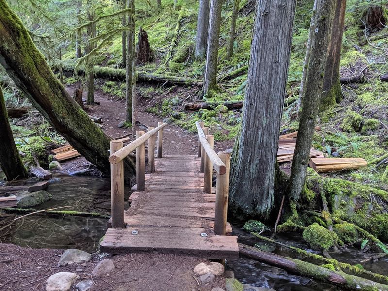 The Trail Itself: 26.4 Miles of Pure Oregon Magic