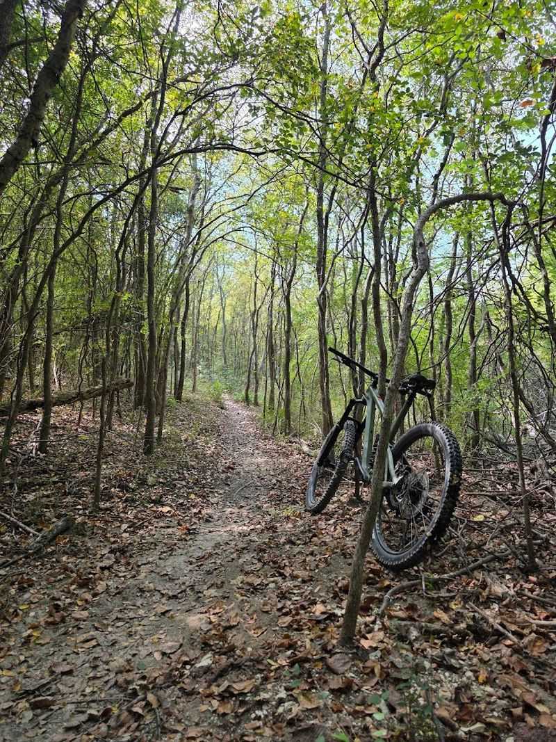 The Trail System Layout and What to Expect
