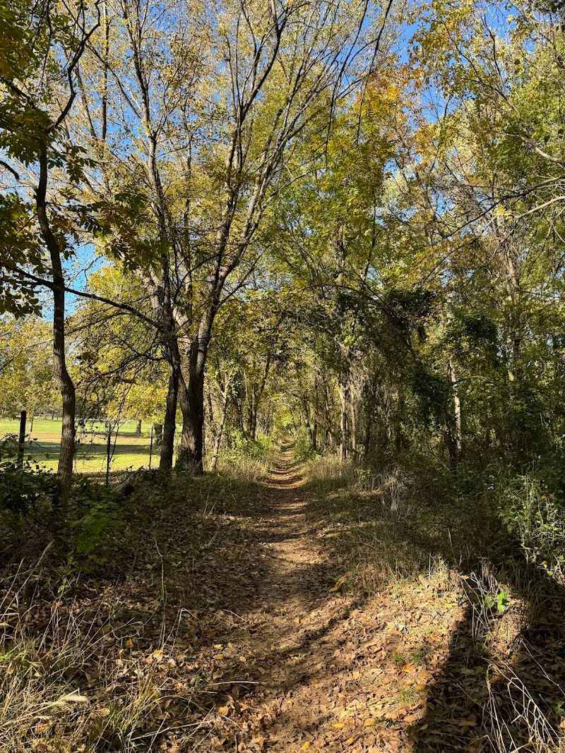 The Trail System Surrounding the Bridge
