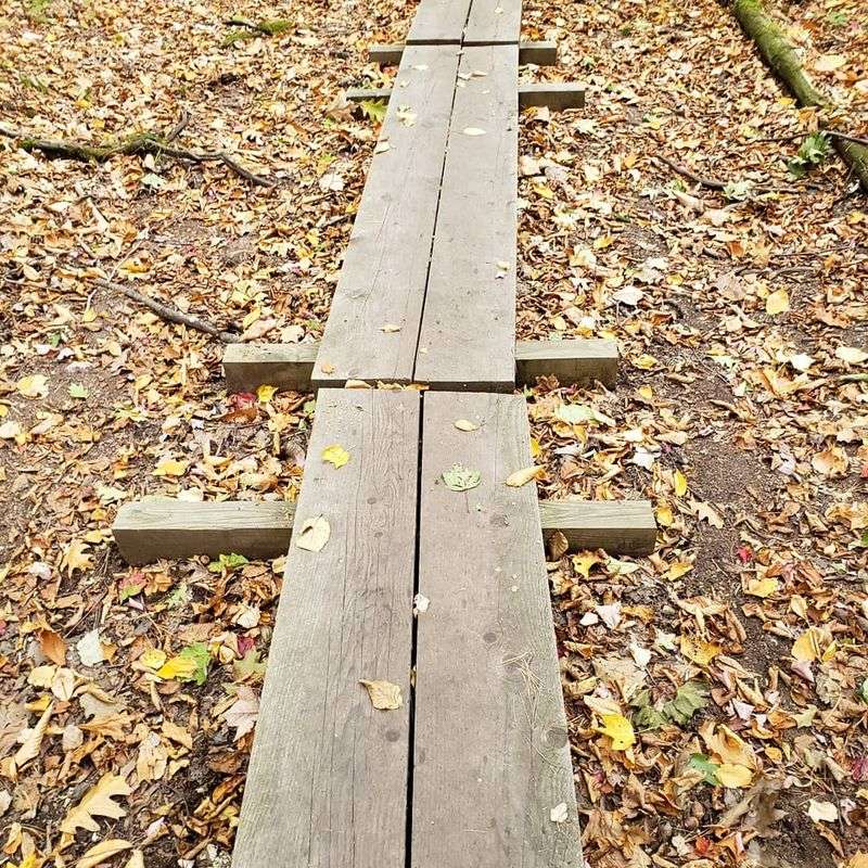 The Trail System That Keeps You Exploring