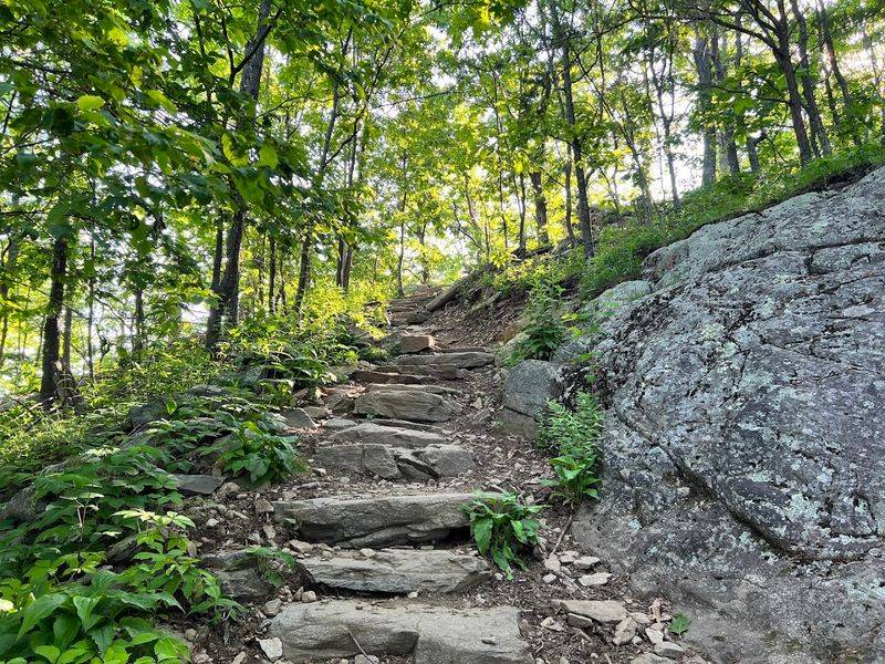 The Trail That Earns Every Step