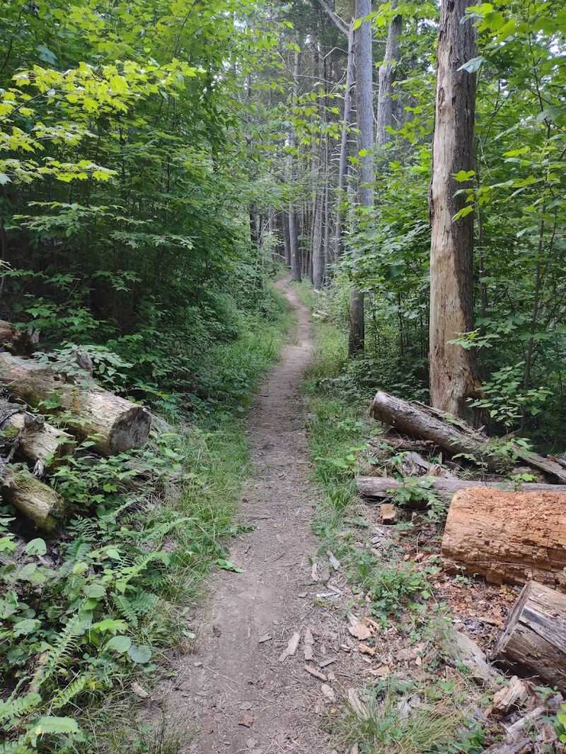The Trail That Starts It All