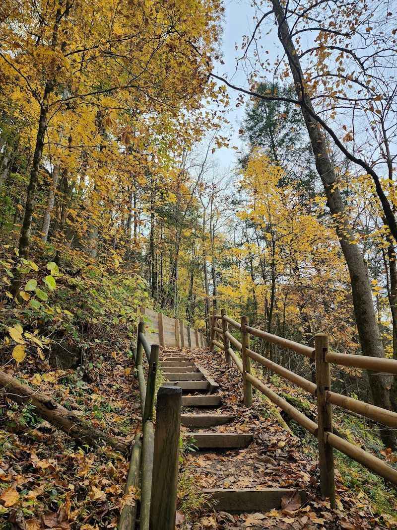 The Trail Wakes You Up