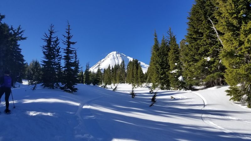 The Trailhead: Where the Adventure Quietly Begins The Trailhead: Where the Adventure Quietly Begins