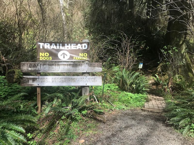The Trailhead and Parking: What to Know Before You Go