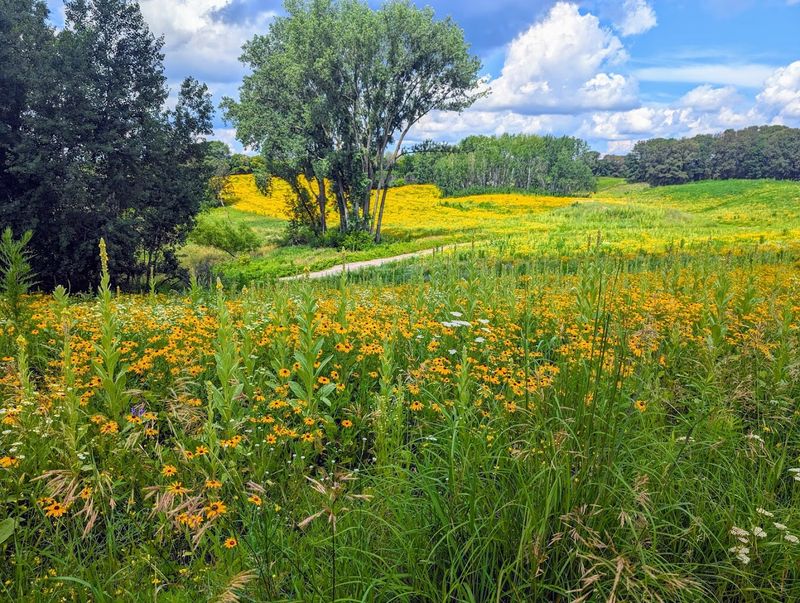 The Trails Beyond the Boardwalk: More to Explore
