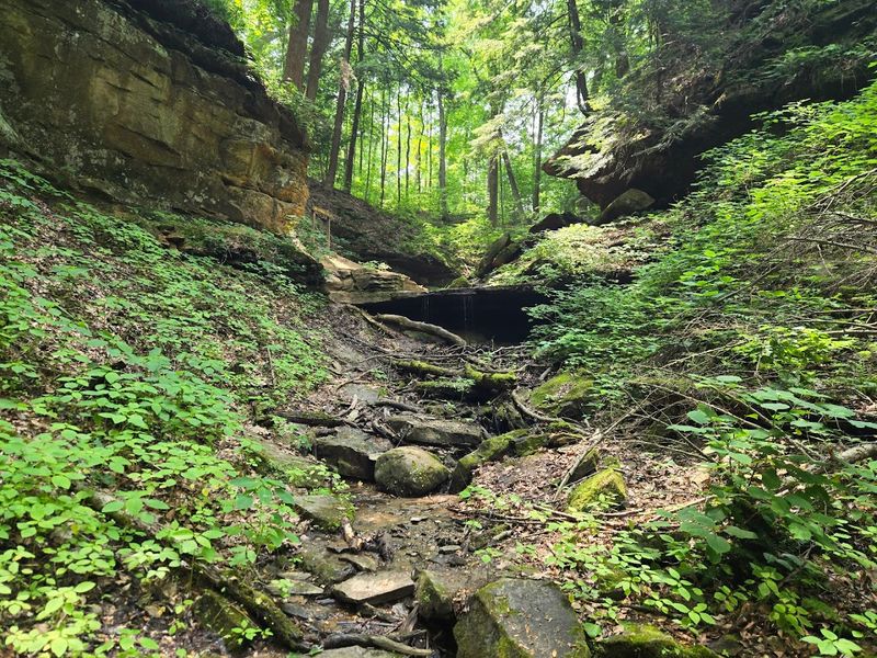 The Trails That Feel Like a Different World The Trails That Feel Like a Different World