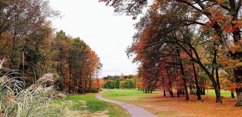 The Trails That Still Draw Visitors