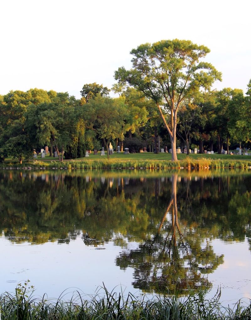 The Tranquil Ponds That Anchor the Whole Landscape