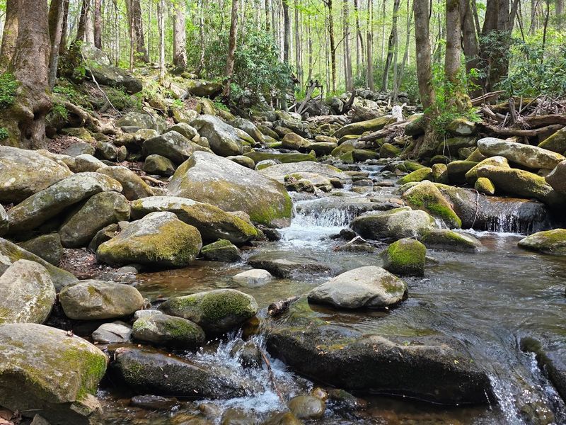 The Tub Mill and the Sounds by the Creek