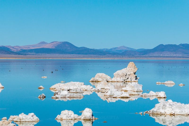 The Tufa Towers and How They Actually Form