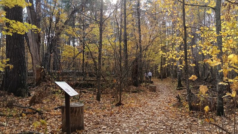 The Two-Mile Loop Trail and What to Expect