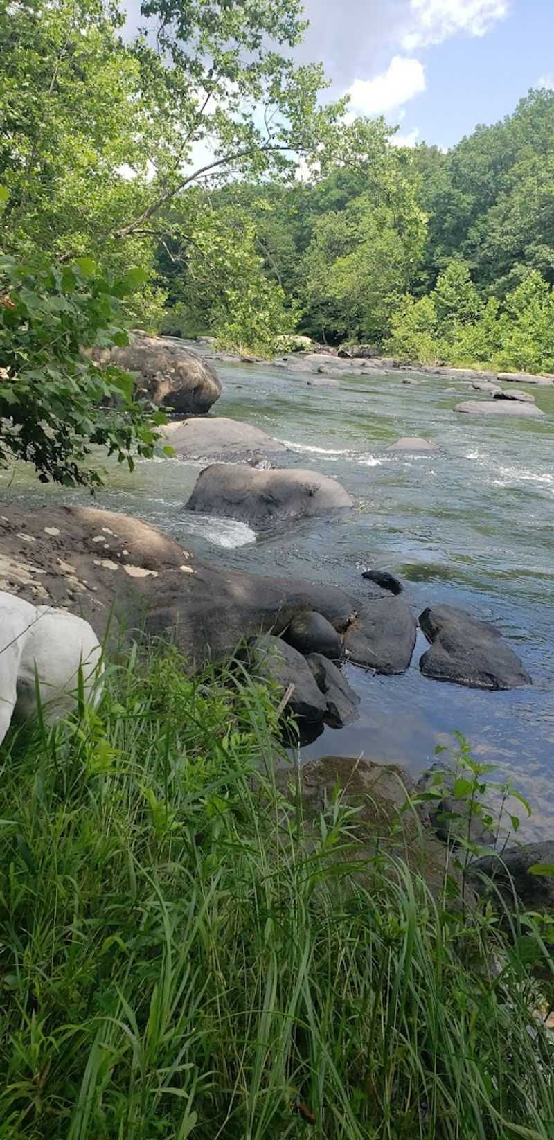 The Tygart Valley River The Tygart Valley River