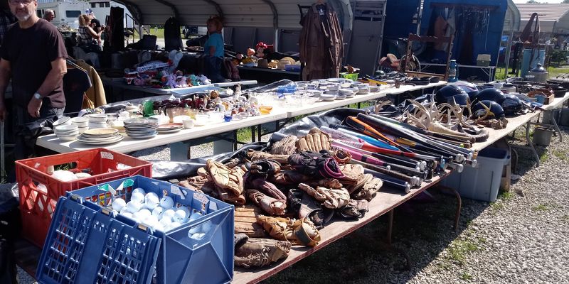 The Variety of Vendors Will Genuinely Surprise You
